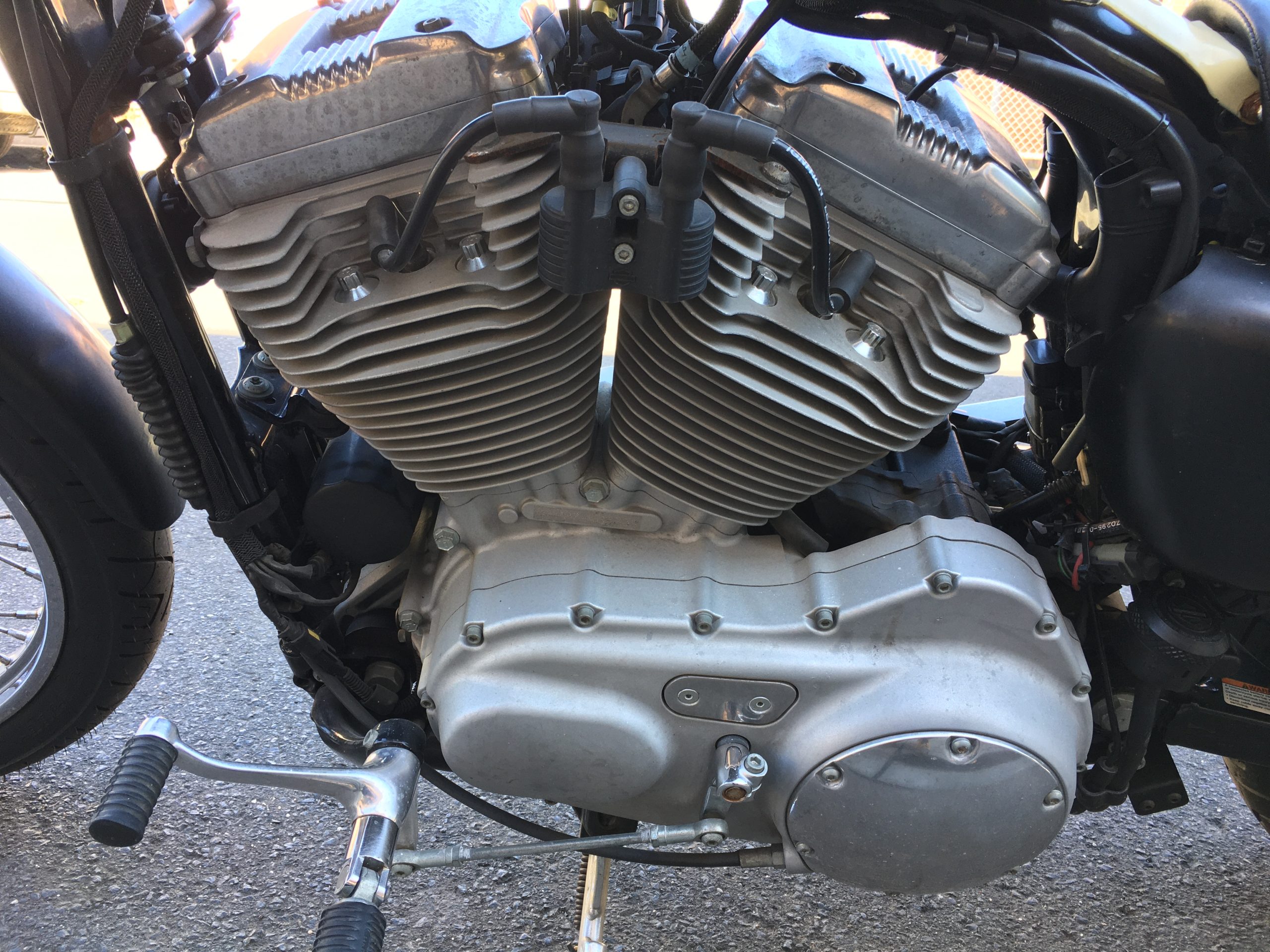 Photo 6-11-2025, 10 00 52 am