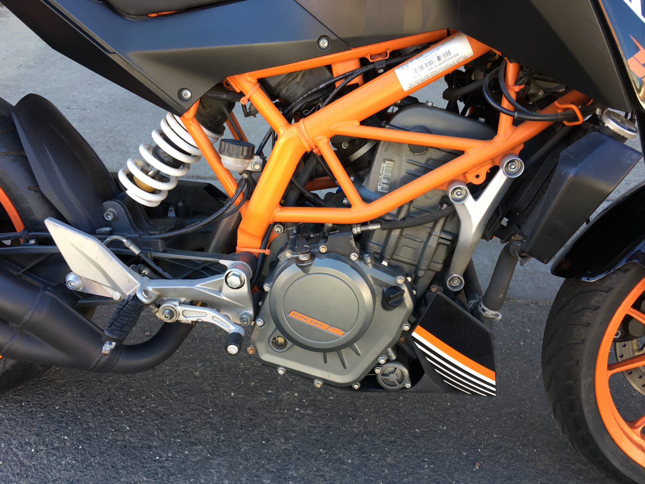 Photo 6-11-2025, 9 55 39 am (1)