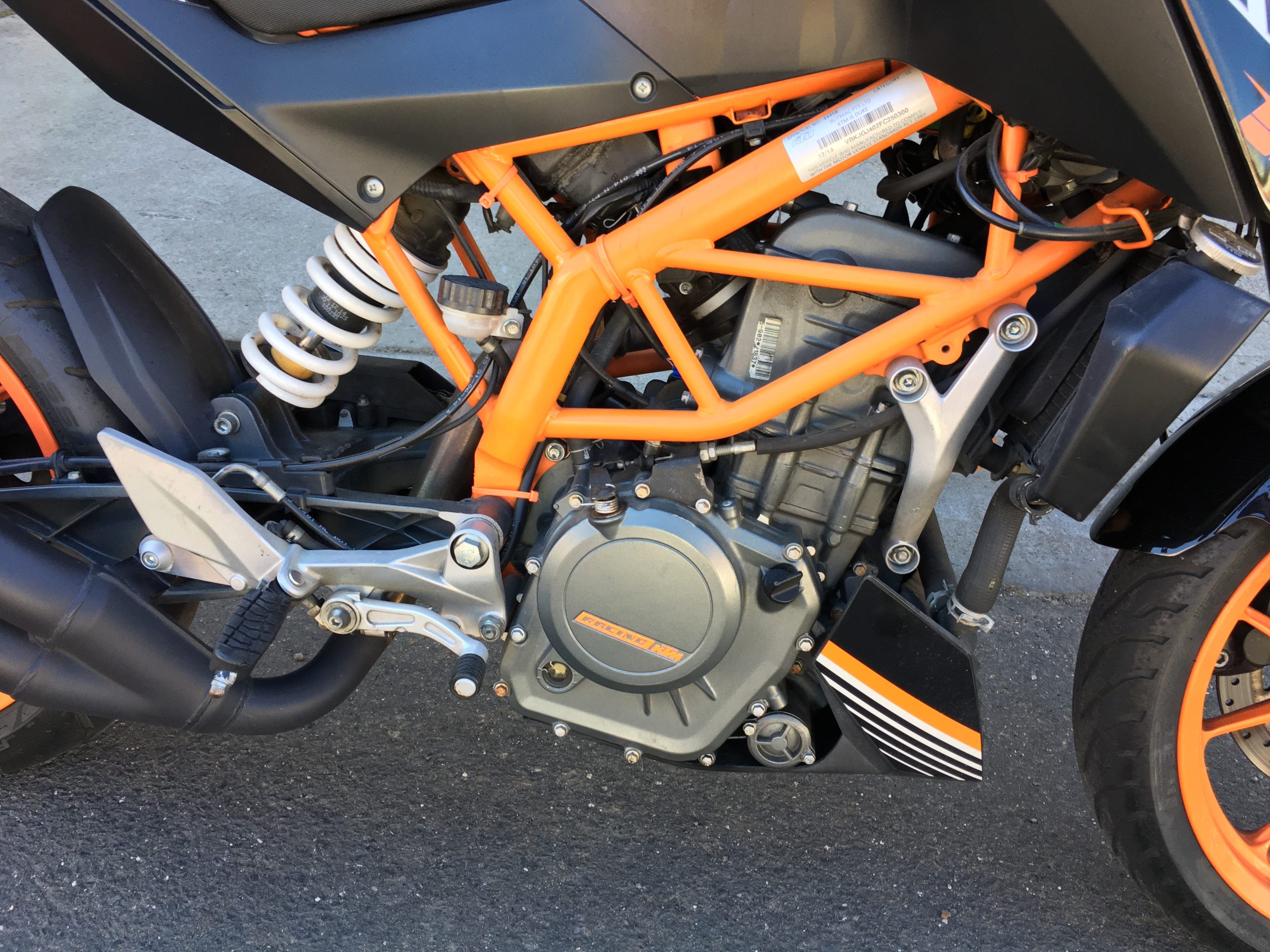 Photo 6-11-2025, 9 55 39 am