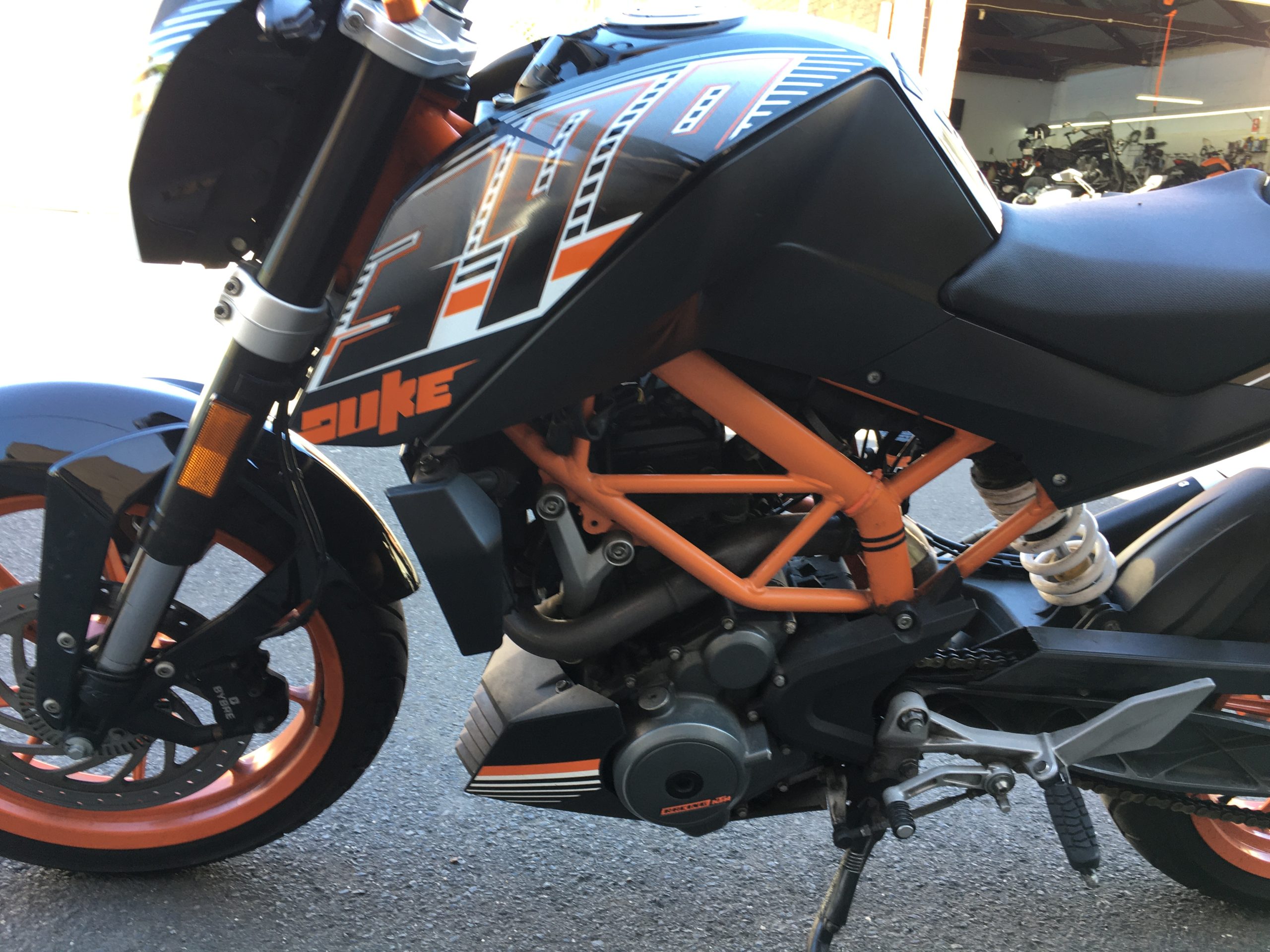 Photo 6-11-2025, 9 55 53 am (1)