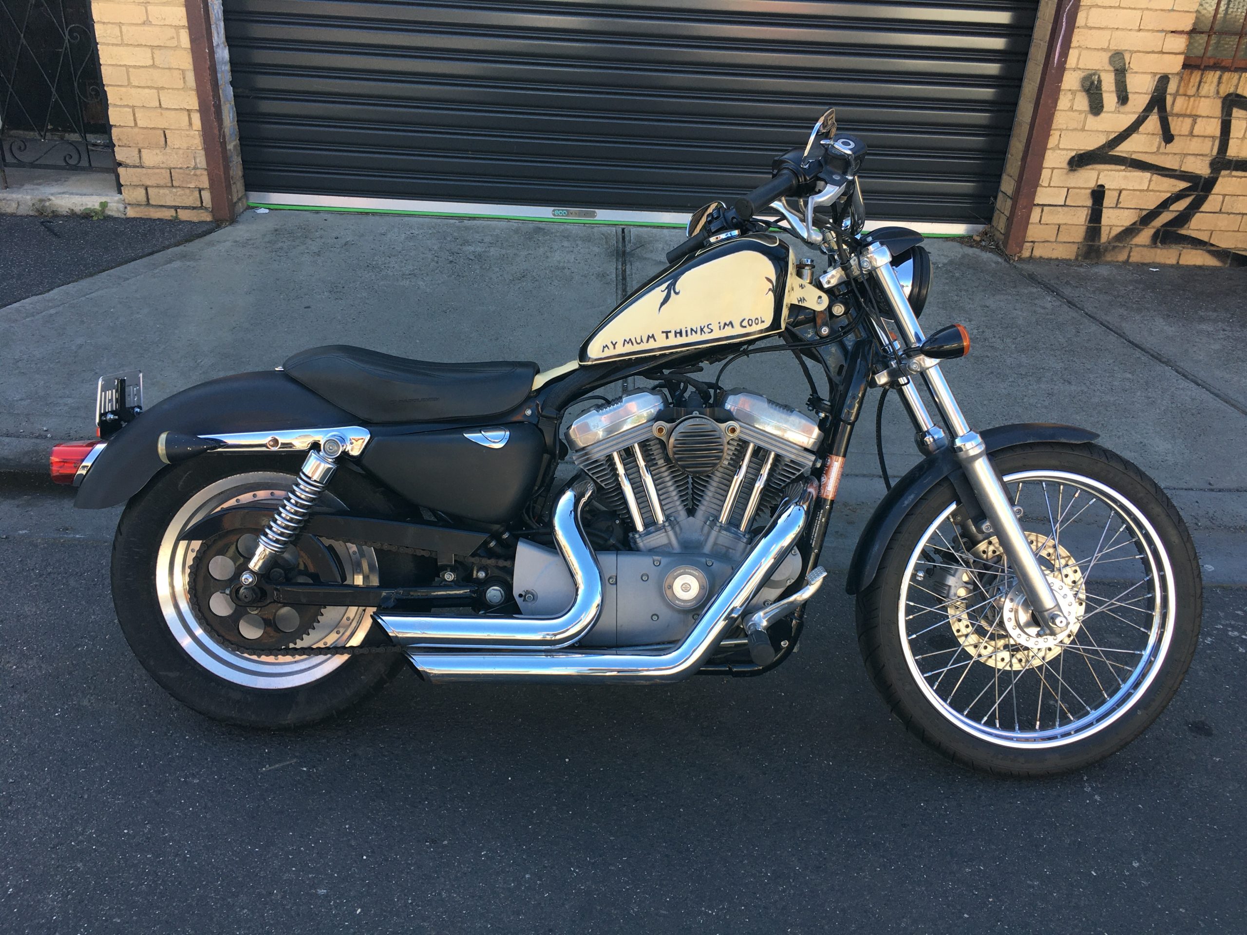 Photo 6-11-2025, 9 58 54 am