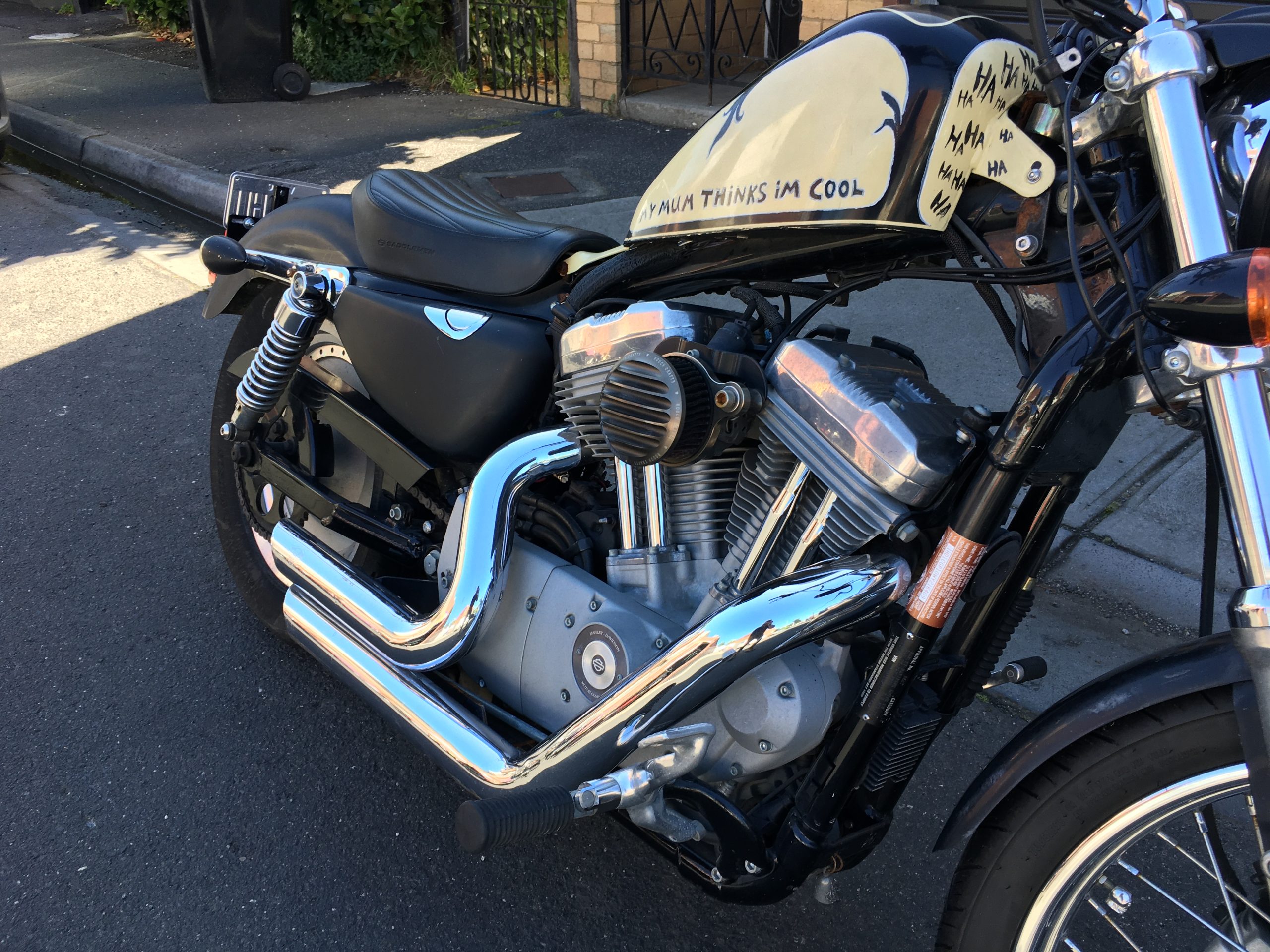 Photo 6-11-2025, 9 59 04 am