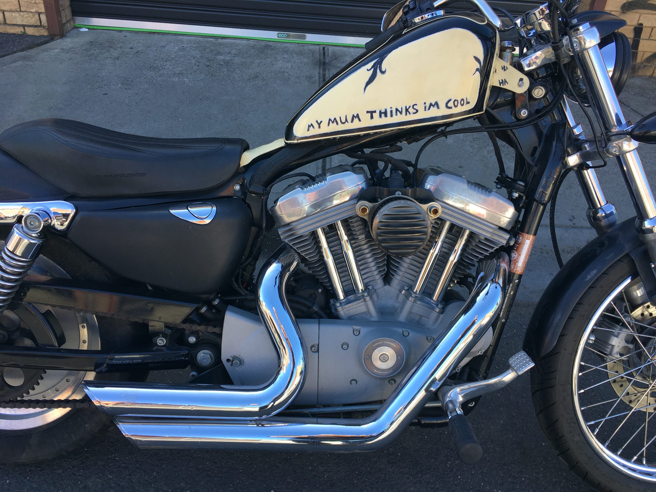 Photo 6-11-2025, 9 59 45 am