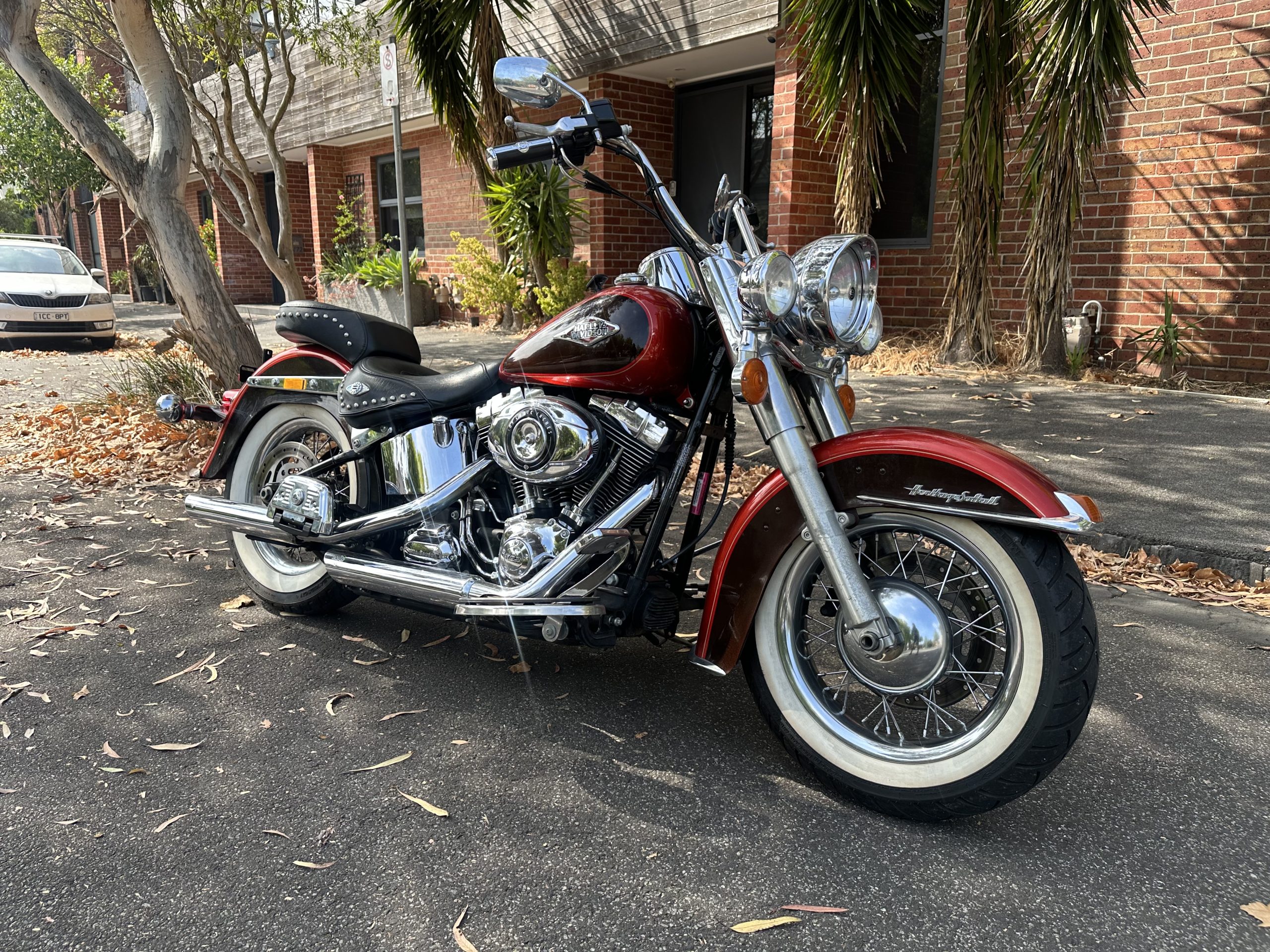 Photo 31-1-2026, 10 35 12 am