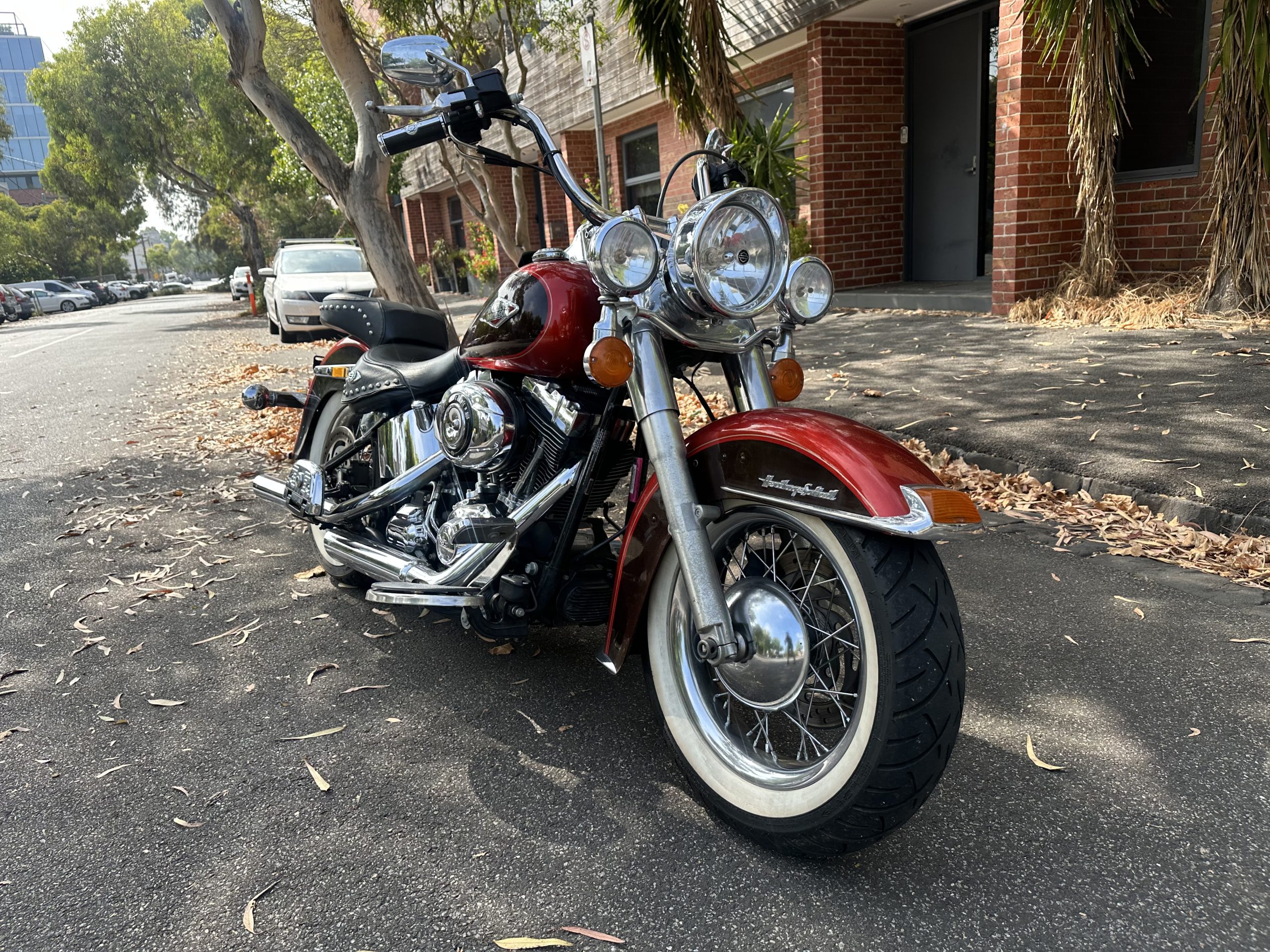 Photo 31-1-2026, 10 35 15 am