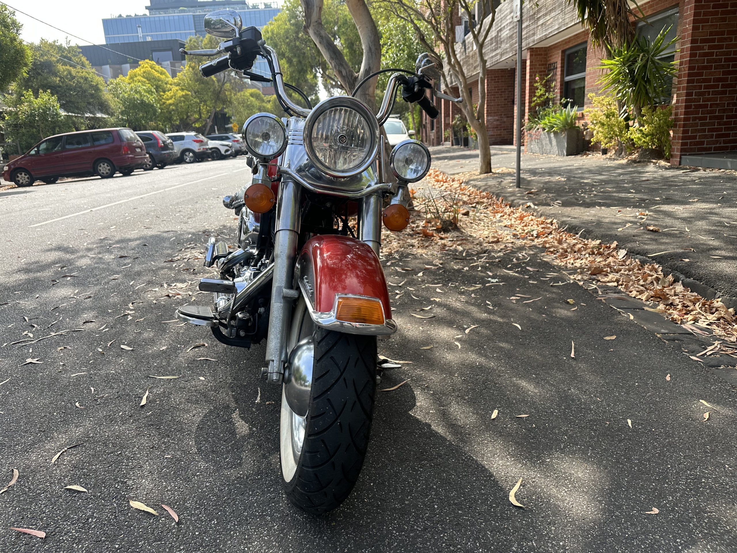 Photo 31-1-2026, 10 35 17 am