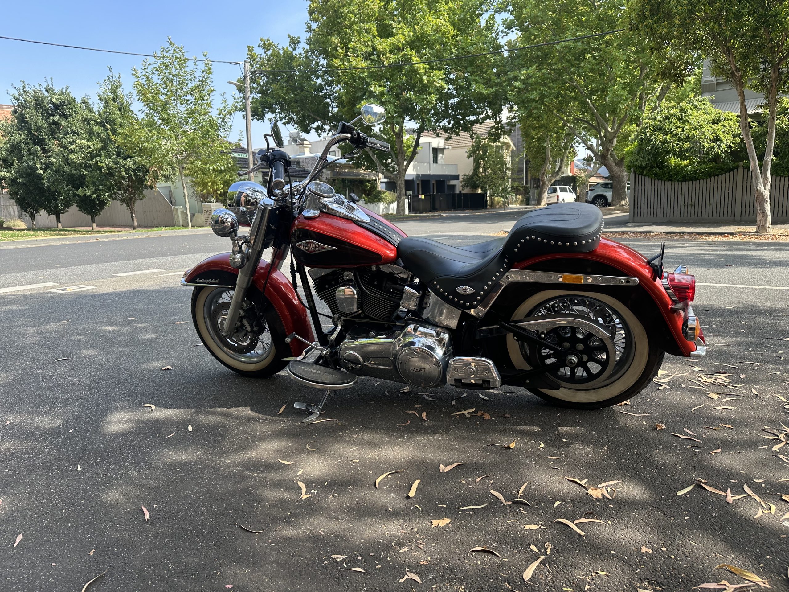 Photo 31-1-2026, 10 35 31 am