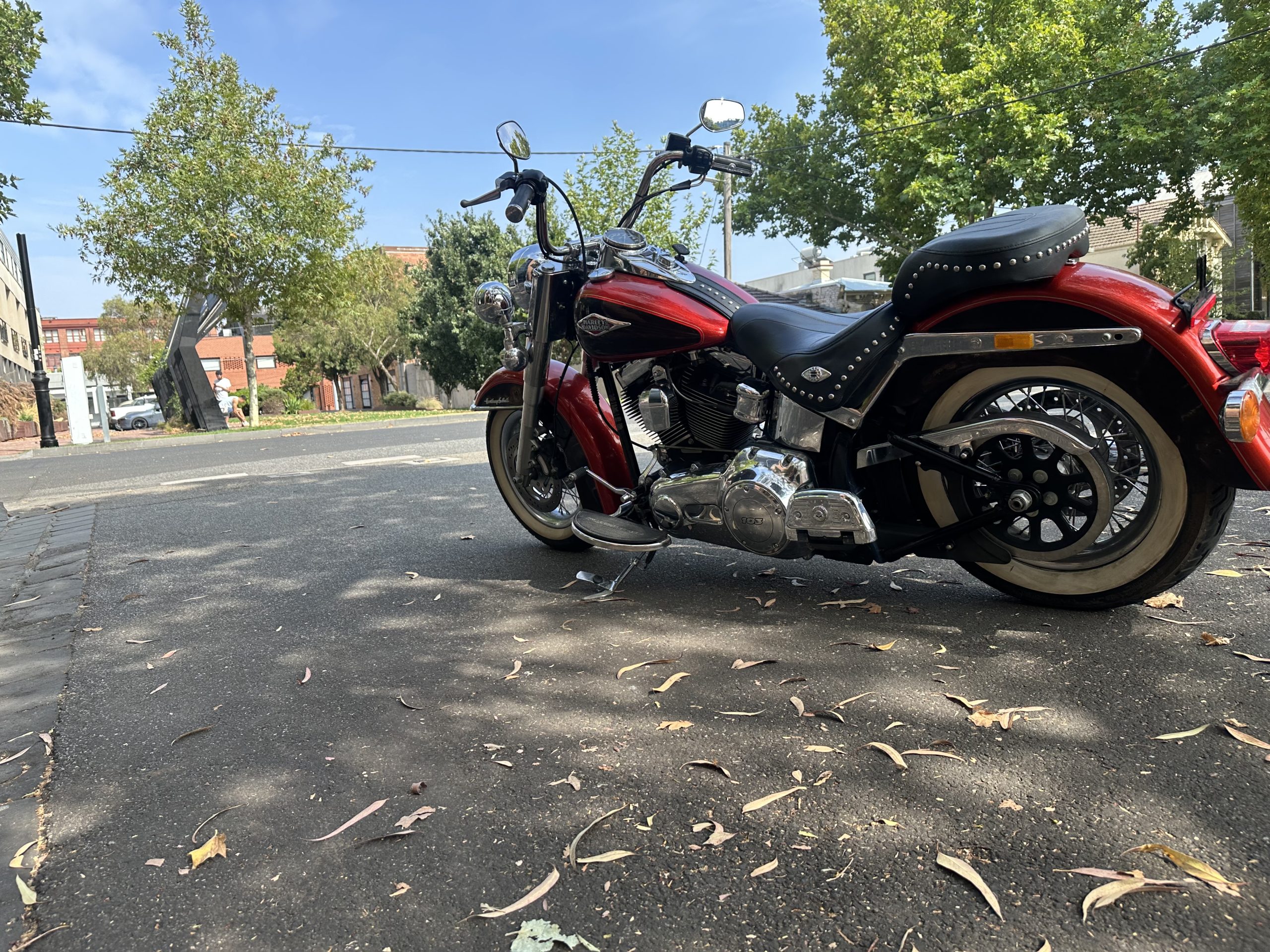 Photo 31-1-2026, 10 35 33 am