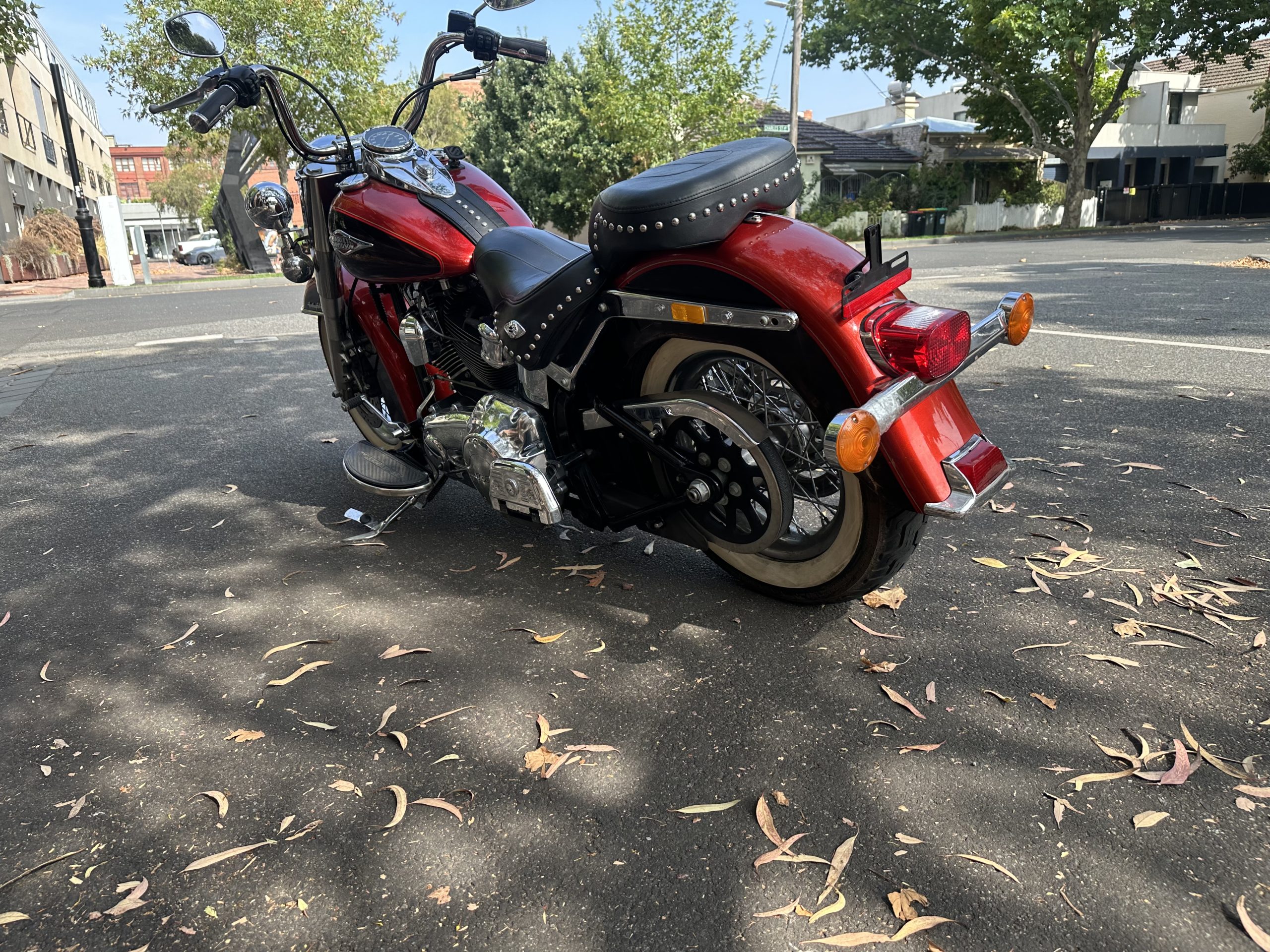 Photo 31-1-2026, 10 35 36 am