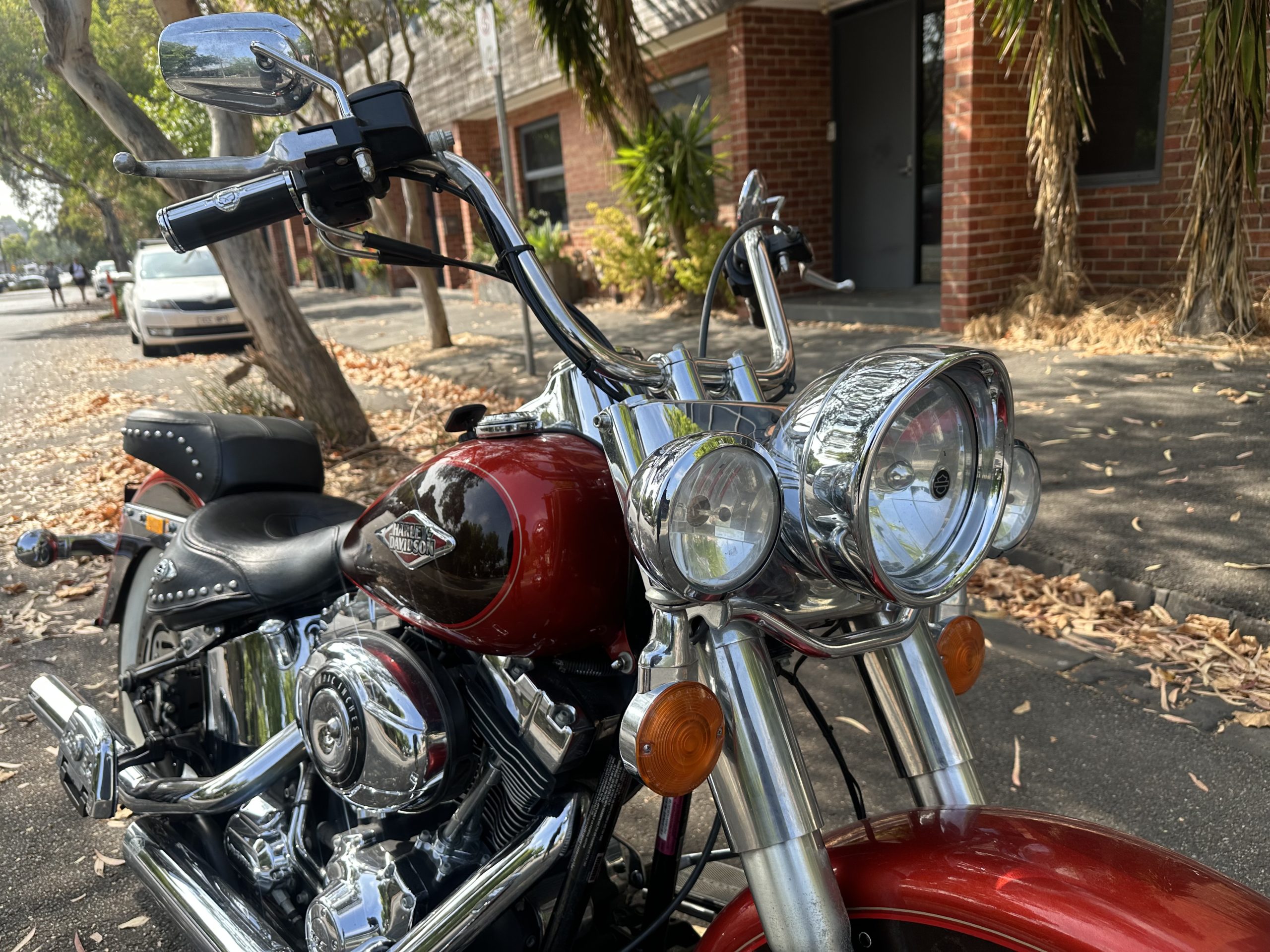 Photo 31-1-2026, 10 36 01 am