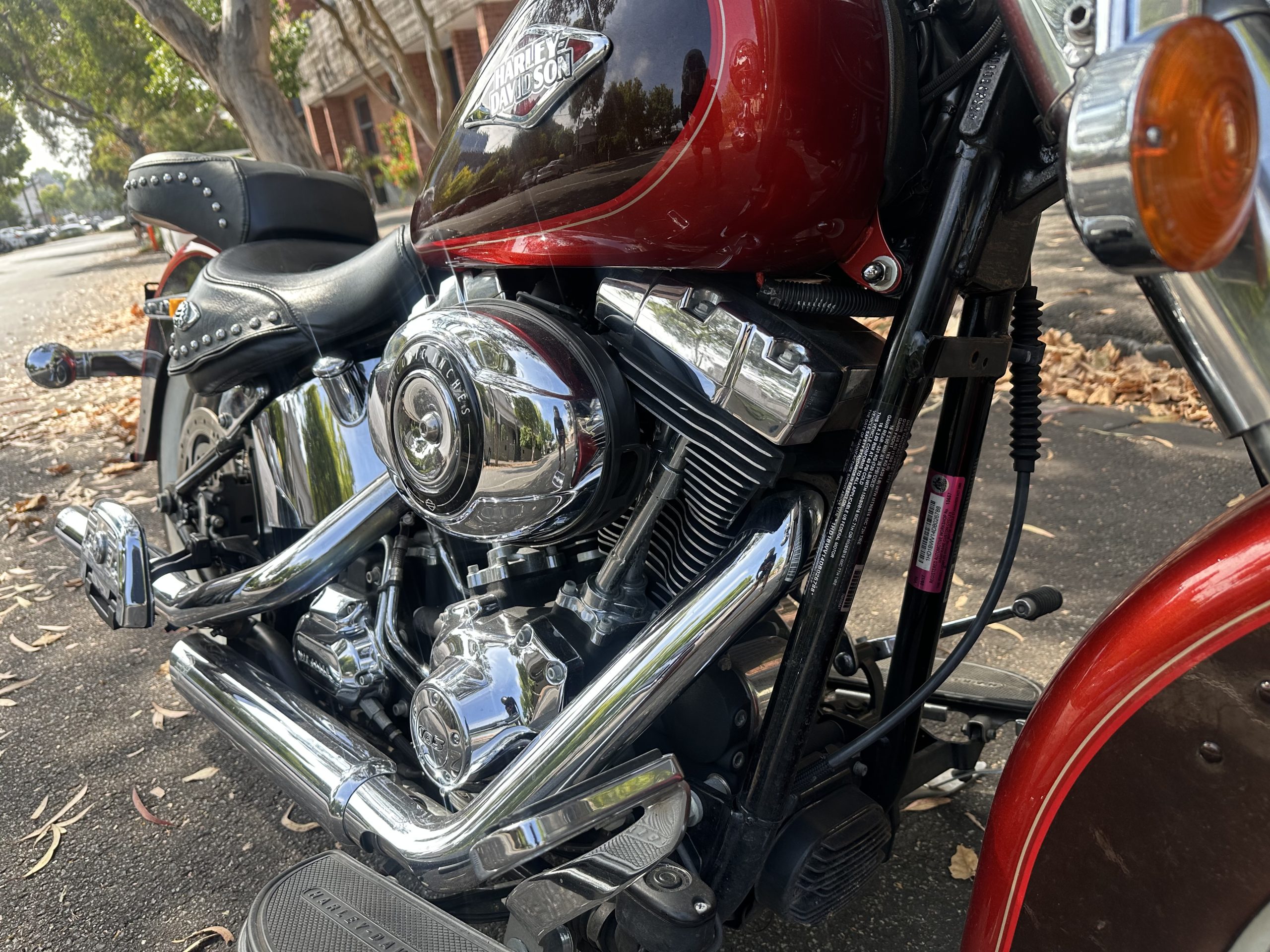 Photo 31-1-2026, 10 36 03 am