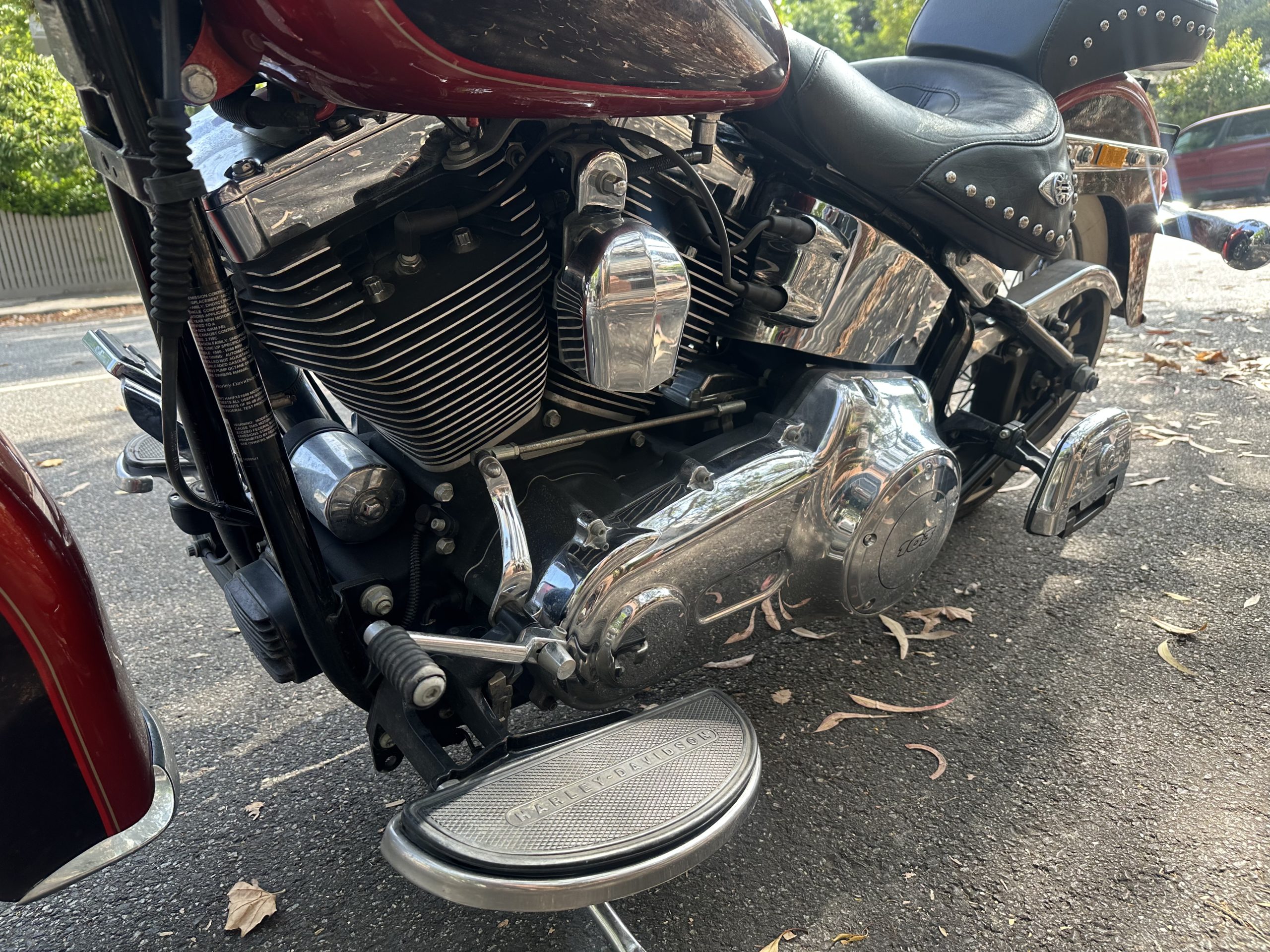 Photo 31-1-2026, 10 36 08 am